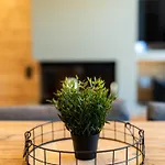 Monte Chalet