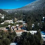 Monte