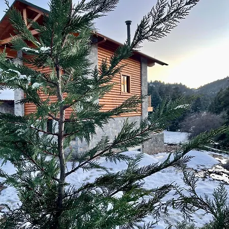 Monte