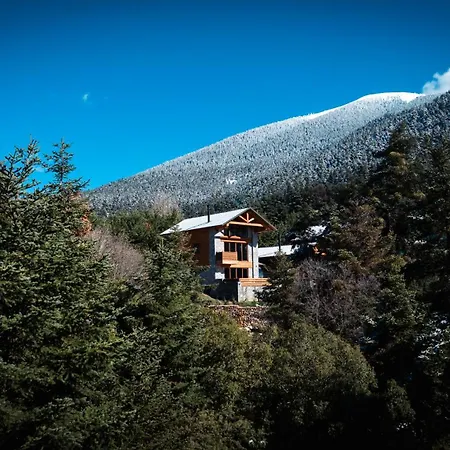Monte *
