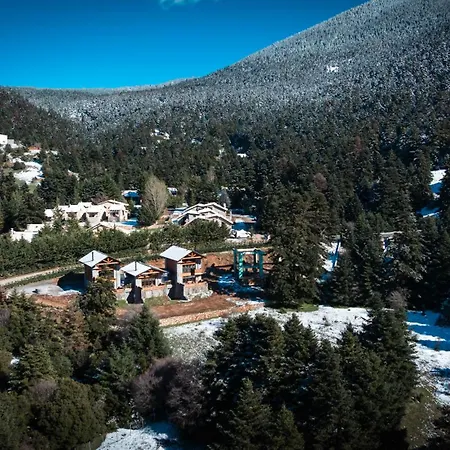 Monte